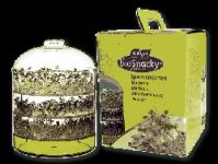 Mini serre pour graines germes Vogel